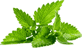轰炸电话在线使用